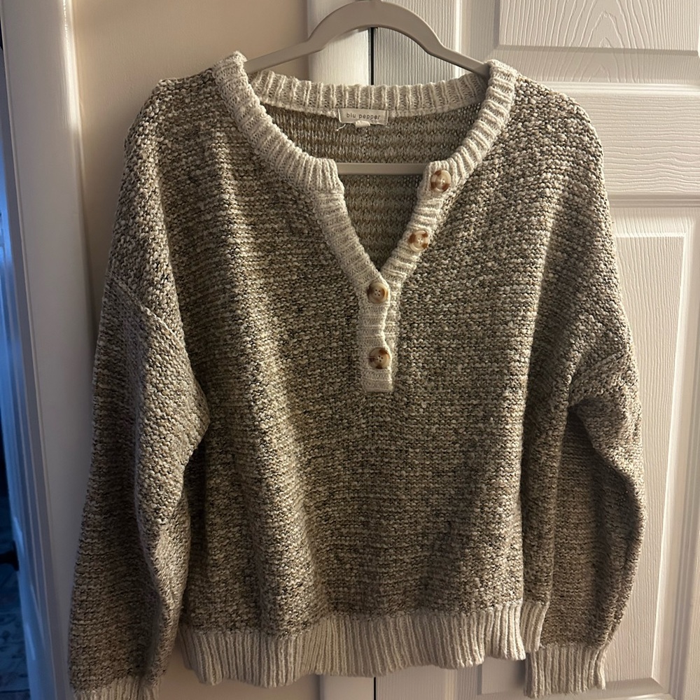 Blu Pepper Cream and Gray V-Neck Sweater